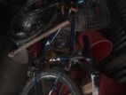 Bicycle for sell