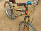 Bicycle for sell