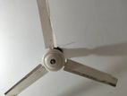 Fan for sale