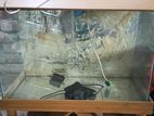 Used Aquarium For Sell