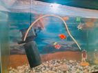 Used Aquarium Full set up 3kg plus stone 7colour light 7fish