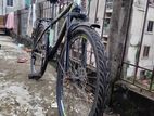 Bicycle for sell