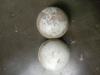 Used Cricket Ball