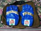 Used Cricket Keeping Gloves With Bag For Sale