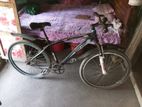 used cycle for sale