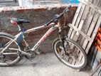 Bicycle for sell