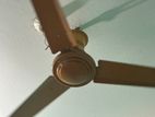 Super_star Fan for sale