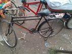 Bicycle for sell