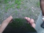 Realme narzo 50 (Used)