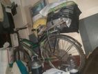 Phoenix cycle