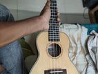 usedfresh ukulele
