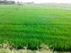 উত্তর কাউন্দিয়া উত্তরার পাশে