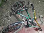 cycle for sell