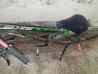 Bicycle for sell