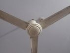 Fan for sell