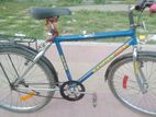 Bicycle for sell