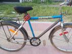 Bicyce for sell