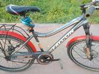 Bicycle for sell