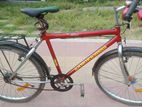 Bicycle for sell