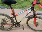 Bicycle for sell