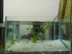 Aquarium for sell