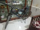 Veloc Cycle