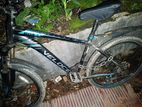 Veloce 603 Cycle