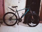 Veloce cycle