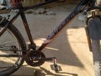 Veloce cycle full fresh condition