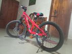 Bicycle for sell