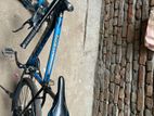 Veloce Legeon 50 Cycle