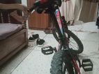 Veloce Bicycle for Sell