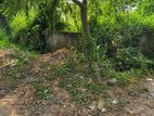 Very close to Lake : 5 Katha Sector 15