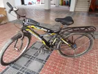 Phoenix Bicycle for Sale