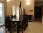 Very Nice Full-Furnished Apartment Rent In Gulshan -1