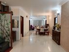 Very well fully furnish apt rent in banani
