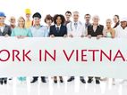 Vietnam Labour & Employment Visa