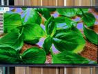 Vision-32-Inchi Smart TV