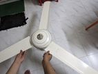 Vision 56" Celling Fan