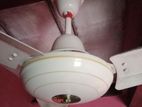 Vision 56" Fan with 6.5years Official Warranty Available