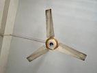 Vision Ceiling Fan for Sale