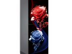 VISION Glass Door Refrigerator RE-252 Liter Crystal Lotus Flower