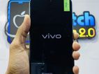 Vivo 2024 (New)