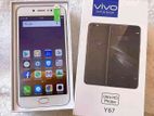 Vivo (Used)