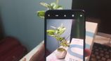 Vivo S1 Pro (Used)