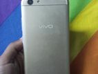 Vivo Y53 (Used)