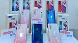 Vivo V15 8/256 পাইকারি দামে (Brand New)