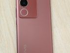 Vivo V29 5G 8/128 (Used)