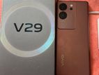 Vivo V29 pro (Used)