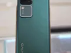Vivo V30 8/128 GB (Used)